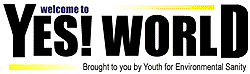 YES! World