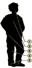 silhouette of a boy